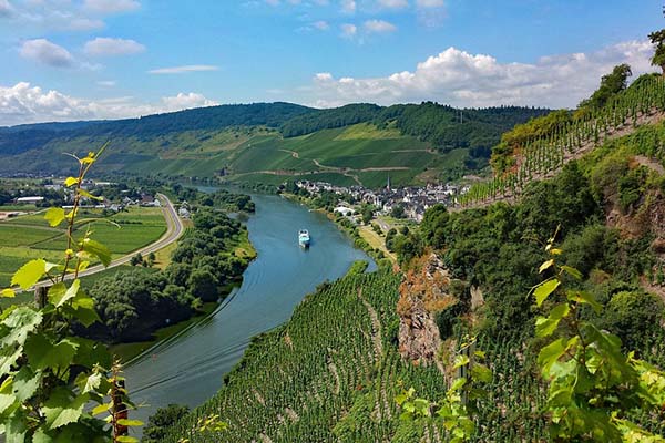Angelkarte kaufen für Rheinland-Pfalz Fiskado - Mosel 106 Stauhaltung Enkirch - Angelkarte kaufen für Rheinland-Pfalz -